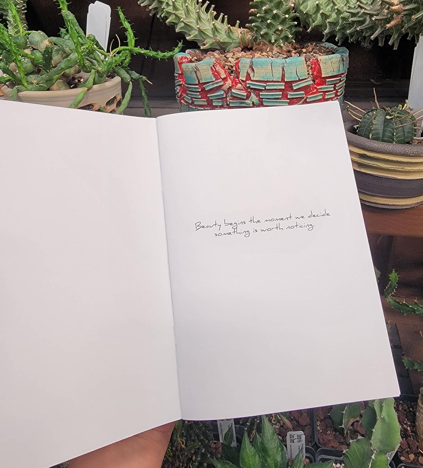 Collector Sketchbook No. 02 - The Sicilian Garden