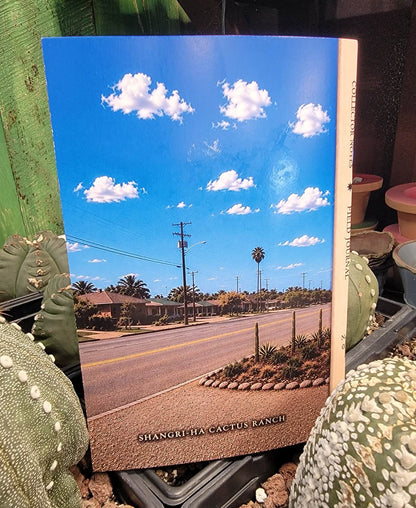 Collector Sketchbook No. 03 — The Desert Motel