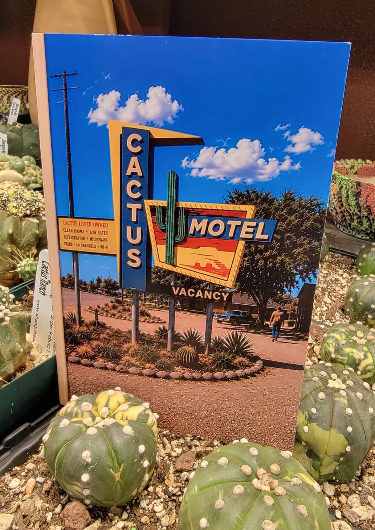 Collector Sketchbook No. 03 — The Desert Motel