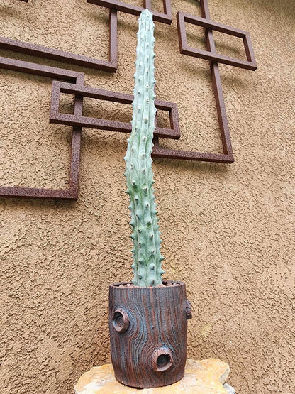 Handmade Pottery - Desert Sentinel No 180