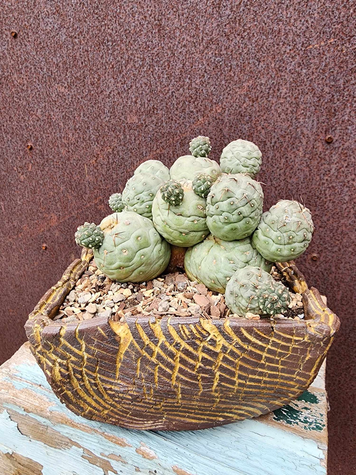 Handmade Pottery - Dry River Vessel No. 160