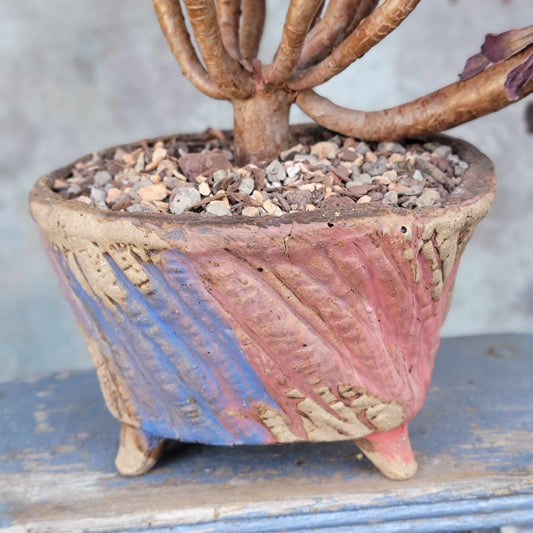 Terra Cotta Planter - Watercolor Series - Blue & Rose