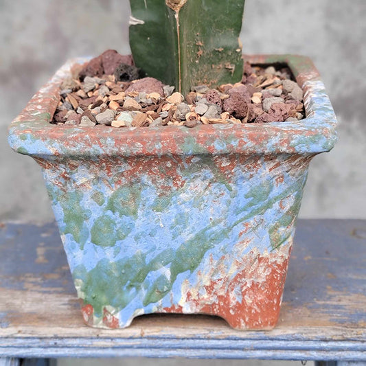 Terra Cotta Planter - Watercolor Series -Monet