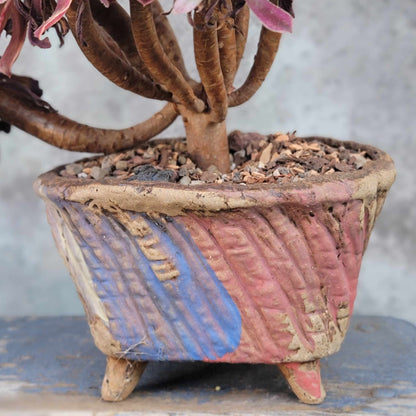 Terra Cotta Planter - Watercolor Series - Blue & Rose
