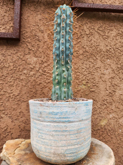 Tuscany Earthen Terra Cotta Planter – Aegean Wash No. 213