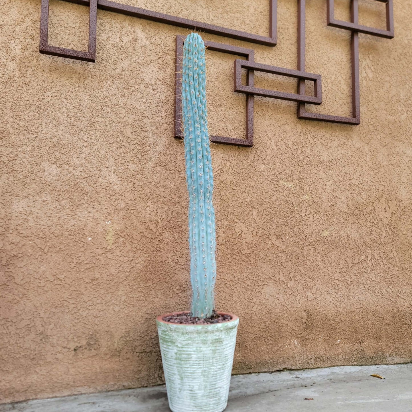 Tuscany Earthen Terra Cotta Planter - Kiln-Fired - Green & White