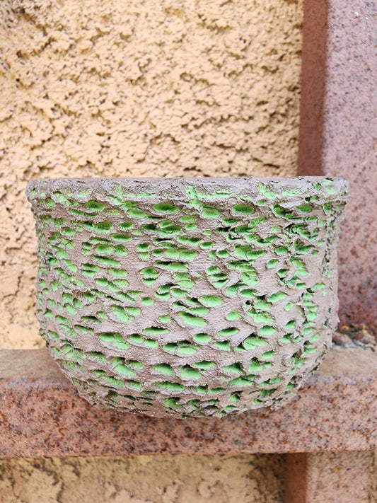 Handmade Pottery - Verdant Relic No. 209
