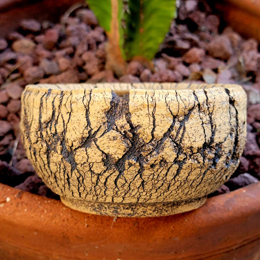 Peety Pots by Pablo Handmade Pottery image 0