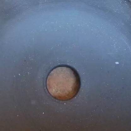 Coryphantha elephantidens cv inermis