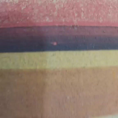 Trichocereus pachanoi f. cristata variegata – Crested & Variegated San Pedro Cactus