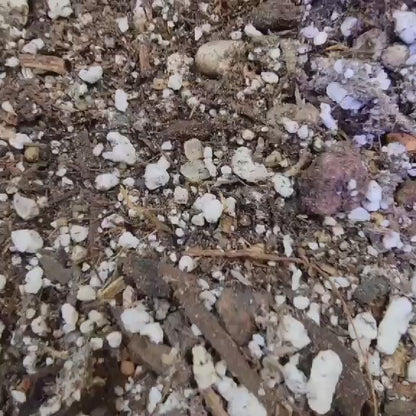 Complete Soil Kit - 7.83 Hz Mix + Gritty Mix + Fertilizer