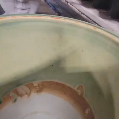 Uebelmannia Pectinifera variegata